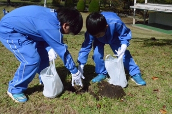 秋13
